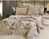 Одеяло Boris с простыней и наволочками Soft Comfort ODBORSC003