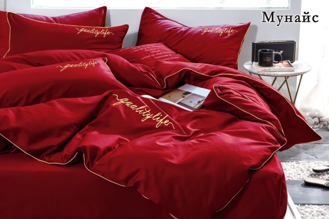 КПБ Alanna Мунайс однотонный с вышивкой ALAMUOV04