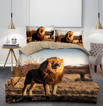 КПБ Alanna Vega Сатин ALAVS065 КПБ Alanna Vega Сатин ALAVS065