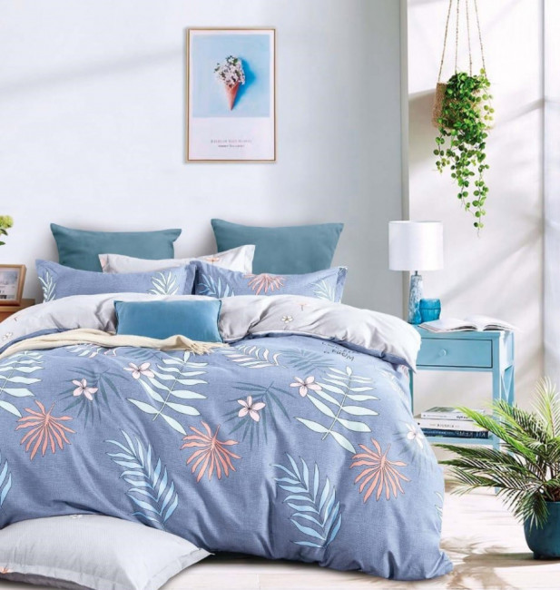 КПБ Mency Classic MENCL111