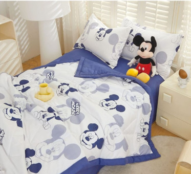 Одеяло подростковое Boris с простыней и наволочками ODBORP44