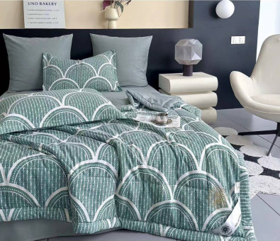 Одеяло Boris E-Shine Мако-Сатин с простыней и наволочками ODBORMS011