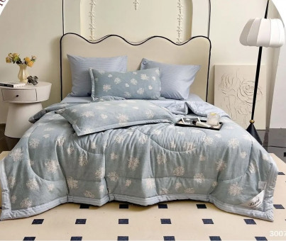 Одеяло Mency Египетский Хлопок с простыней на резинке и наволочками  ODMENER03