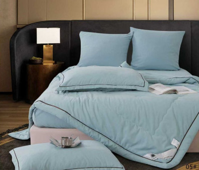 Одеяло Boris E-Shine Бархат Сатин с простыней на резинке по кругу и наволочками ODBORSH05 Одеяло Boris E-Shine Бархат Сатин с простыней на резинке по кругу и наволочками ODBORSH05