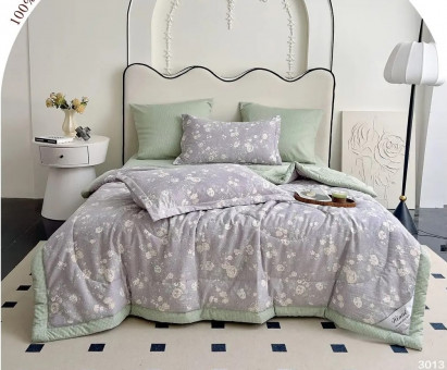 Одеяло Mency Египетский Хлопок с простыней на резинке и наволочками  ODMENER11