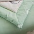 Одеяло подростковое Candie's с простыней и наволочками ODCANP008 Одеяло подростковое Candie's с простыней и наволочками ODCANP008