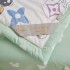Одеяло подростковое Candie's с простыней и наволочками ODCANP008 Одеяло подростковое Candie's с простыней и наволочками ODCANP008