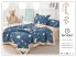Одеяло подростковое Boris с простыней и наволочками ODBORP39